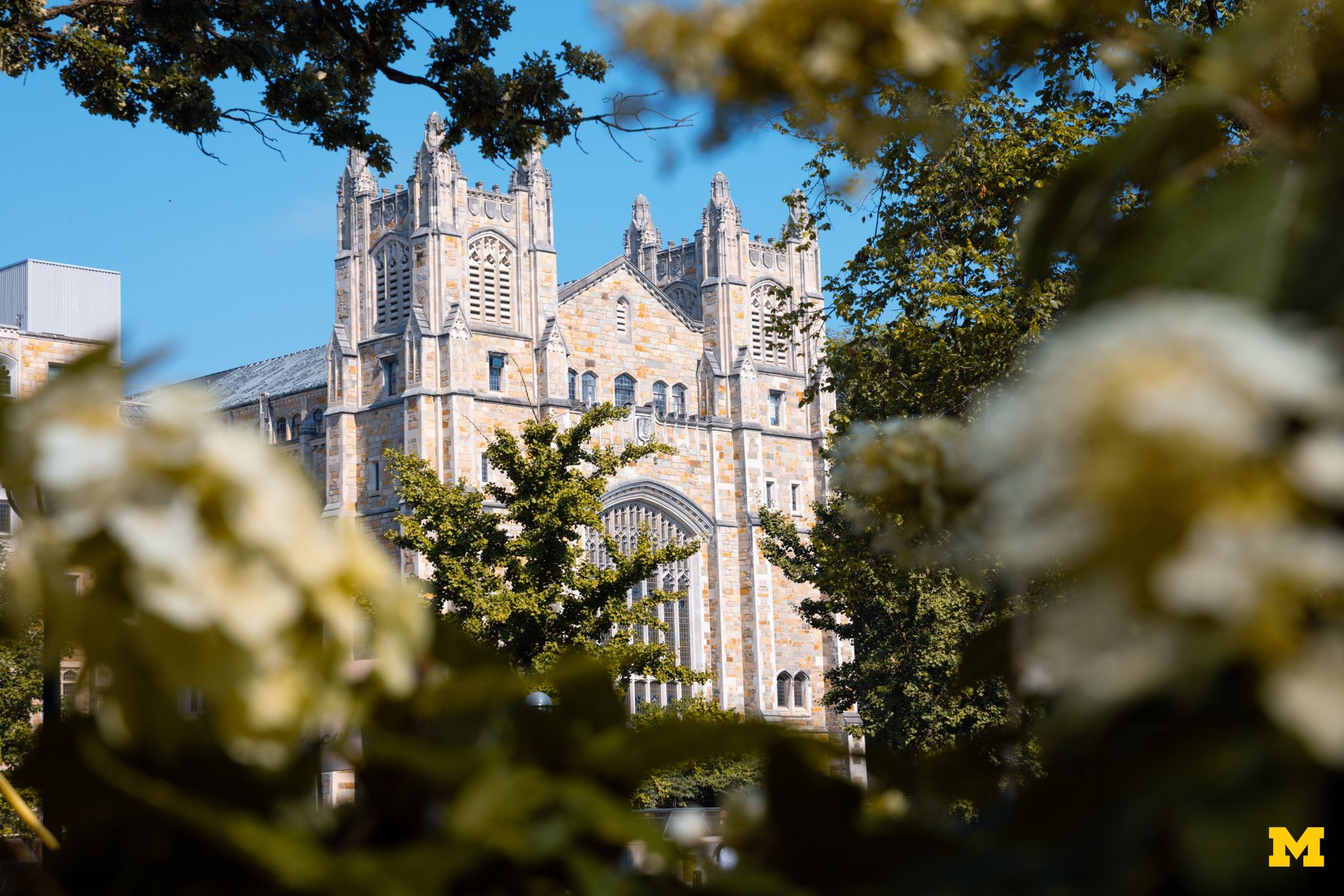 University of Michigan campus